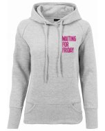 Mister Tee / Ladies Waiting For Friday Hoody grey