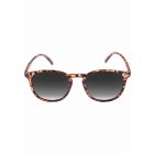 Okulary przeciwsłoneczne // MasterDis Sunglasses Arthur Youth havanna/grey
