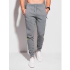 Męskie spodnie dresowe // P1268 - grey